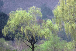 2005-0419-09-0446web