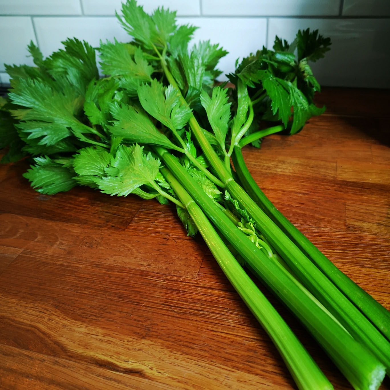 Celery seeds 'TALL UTAH' ORGANIC