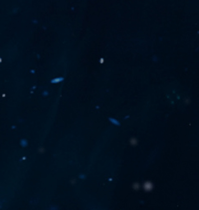 366-Zodiac_335.gif