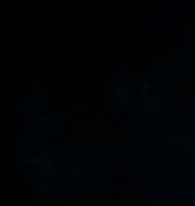 366-Zodiac_282.gif