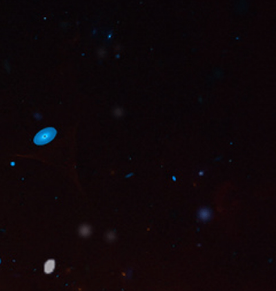 366-Zodiac_40.gif