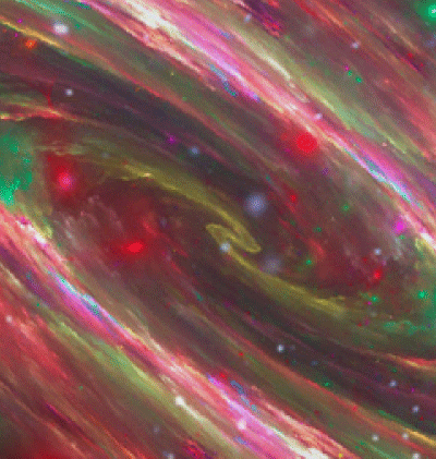 366-Zodiac_322.gif