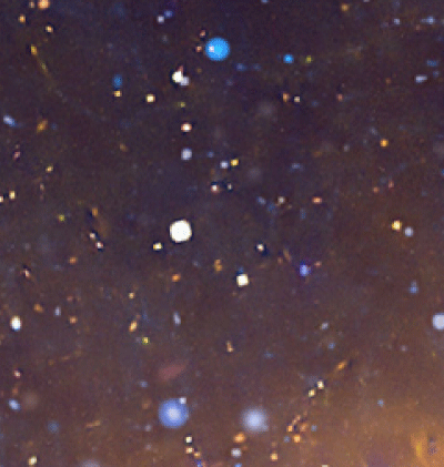 366-Zodiac_23.gif