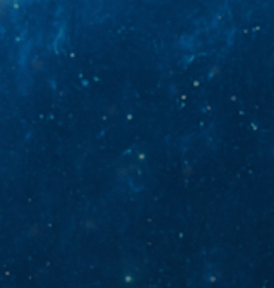 366-Zodiac_127.gif