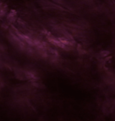 366-Zodiac_159.gif