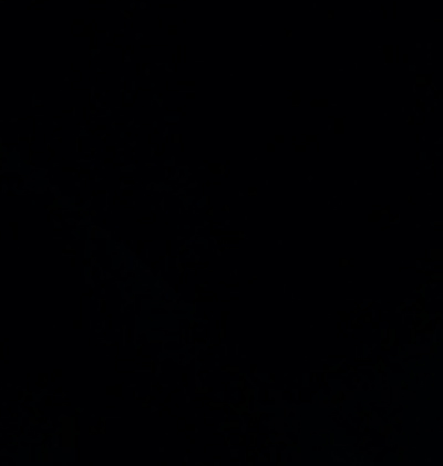 366-Zodiac_281.gif