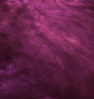 366-Zodiac_118.gif