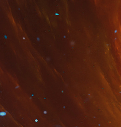 366-Zodiac_55.gif