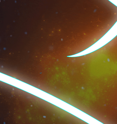 366-Zodiac_93.gif