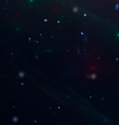 366-Zodiac_363.gif