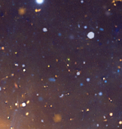 366-Zodiac_24.gif