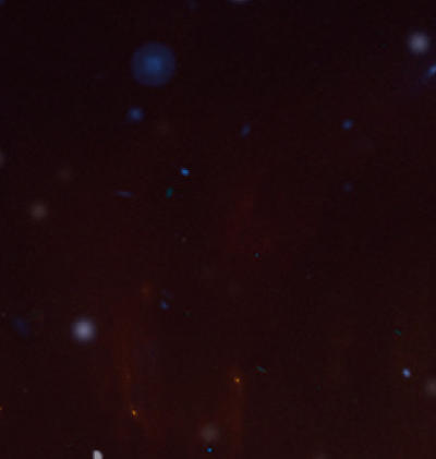 366-Zodiac_14.gif