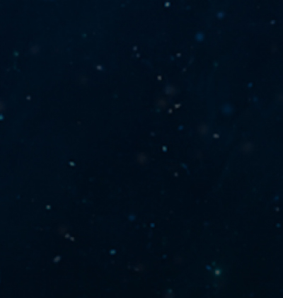 366-Zodiac_131.gif