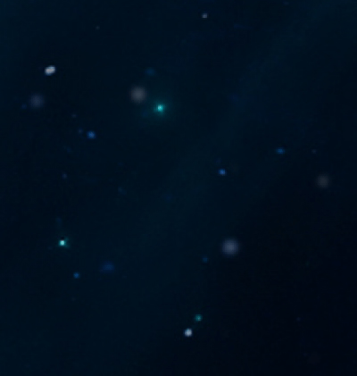366-Zodiac_354.gif