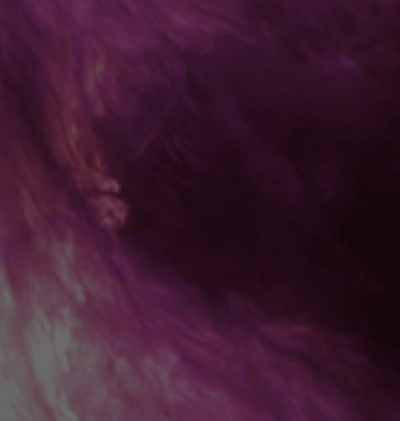 366-Zodiac_175.gif