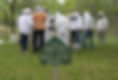 central-virginia-beekeepers-club.jpg