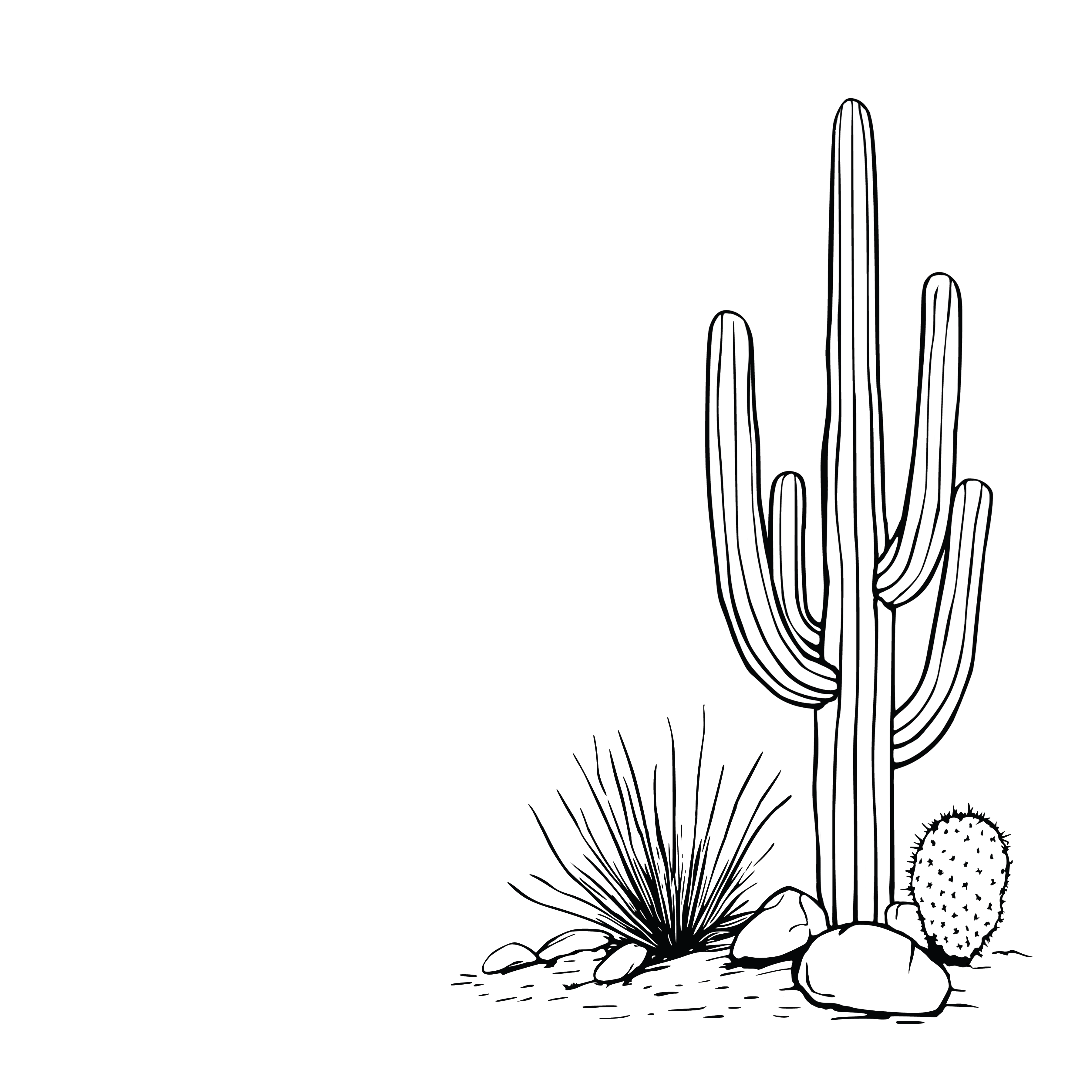 Color your own cactus 2 - Post-it