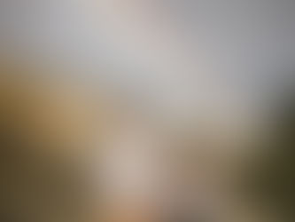 Buena Vista + Independence Pass Engagement