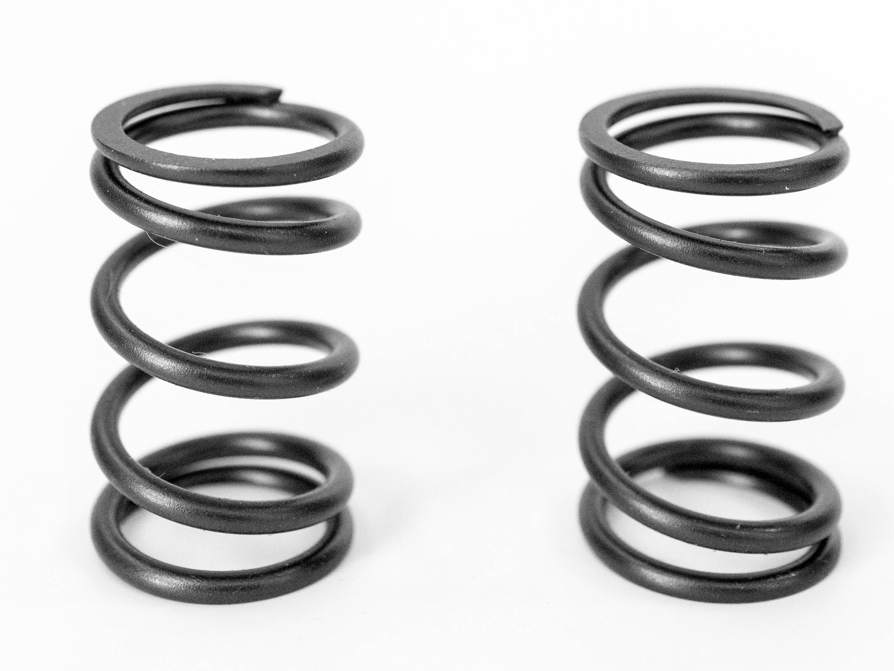 Valve Springs, Performance, Kawasaki FE290/FE350