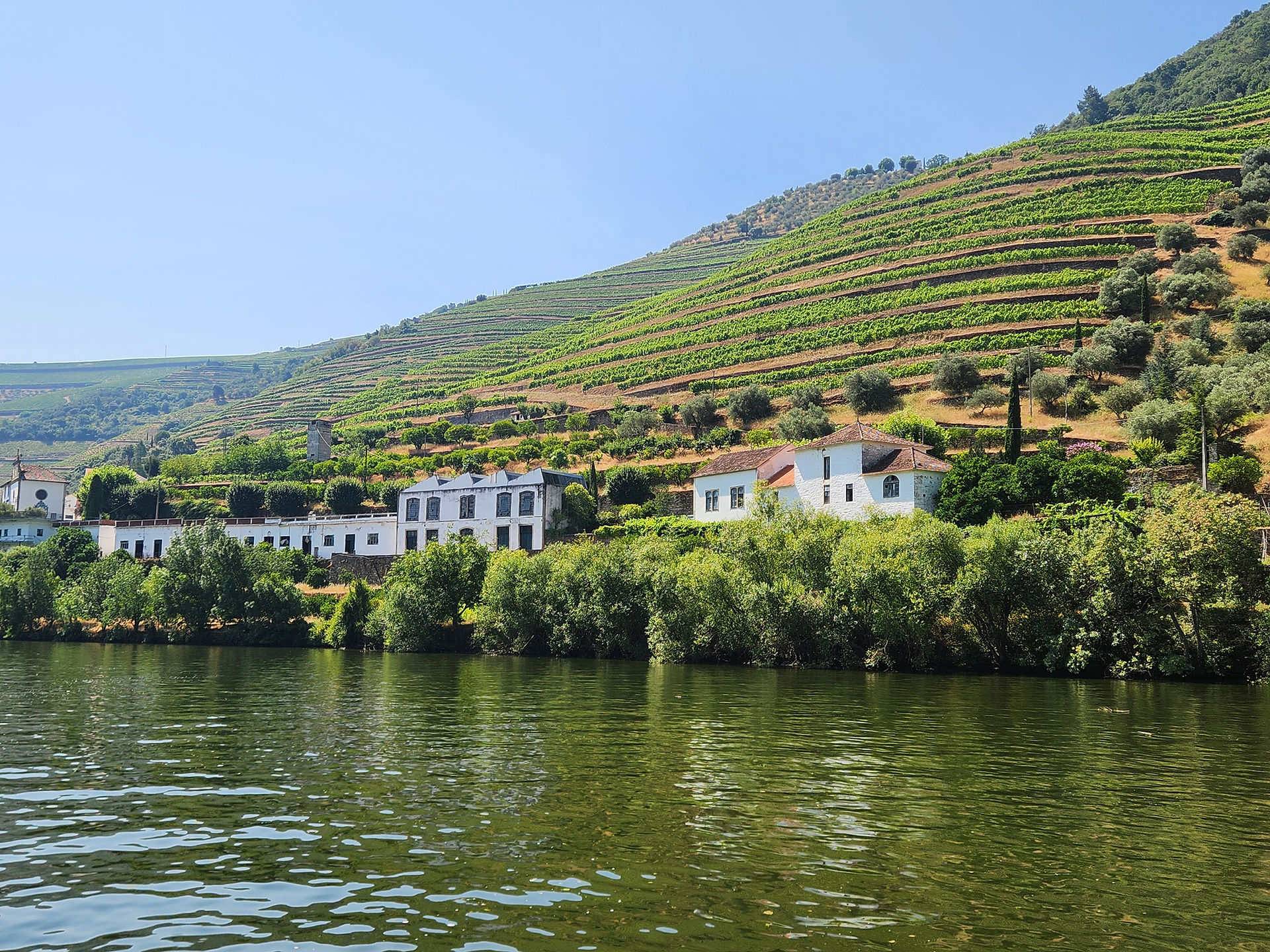 Wanderlust Travel Group Top Excursion from Porto, Portugal - A Day Trip to the Douro Valley