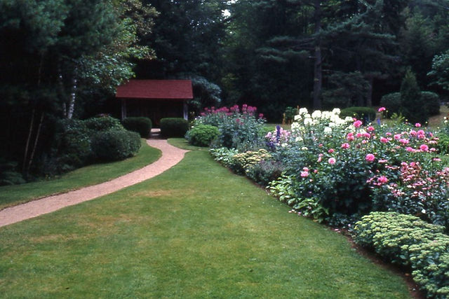 Lower Pavillion Thuya Garden, “muffin top” Yews, 1989 – before renovation