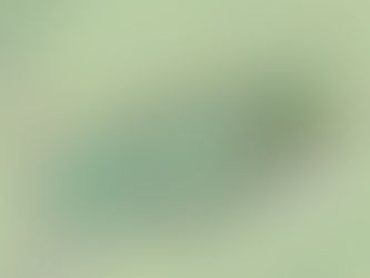 A new path at the Abby Garden creates a safe, serene experience