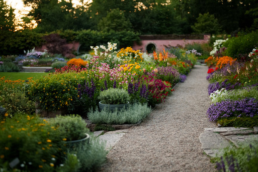 The Abby Aldrich Rockefeller Garden in full bloom the summer of 2025