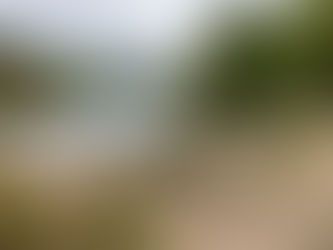 Dog leash policies resume May 1 at Little Long Pond