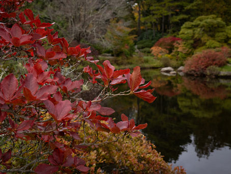 See you next spring – but not so fast!