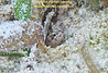 TG-6-20220923_151934_edited_edited.jpg