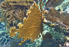 TG-6-20220923_114632_edited.jpg