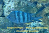 TG-6-20220116_100807_edited_edited.jpg