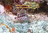 TG-6-20220430_111308_edited.jpg