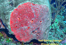 TG-6-20220726_093119_edited.jpg