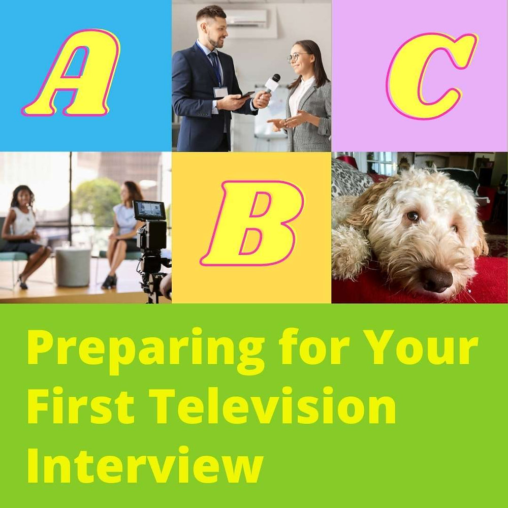 Preparing for Your TV Interview