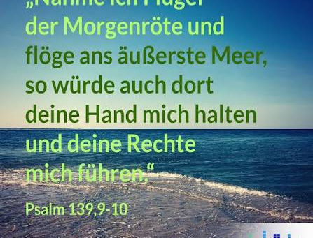 26.7.2026 Wort für heute: „führen und halten“
