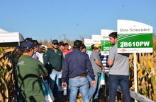 Dia de Campo DOW e Agropantanal de 14/06/2016 - Alto Taquari - MT