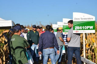 Dia de Campo DOW e Agropantanal de 14/06/2016 - Alto Taquari - MT