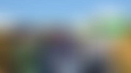 Dia de Campo DOW e Agropantanal de 14/06/2016 - Alto Taquari - MT