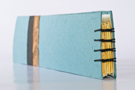 Fran Ifould Artist Book Enviro roulette Cover and detail of the binding