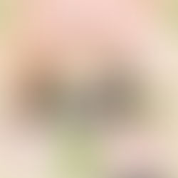 みらい子育てネット手代木南クラブ（手代木南母親クラブ）会員募集中です♪