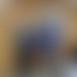 Vereador Fabrício Lemos declara apoio à chapa liderada por Jerônimo Rodrigues