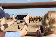 Mustang-Camp-7-2023-141.jpg