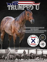 85CDD1D8-2E0C-4974-B4AC-12A4A40F2983 - 10-BAR-Y RANCH.jpeg