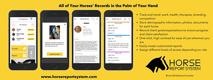 Horse Report System.jpg