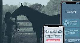 Horselinc.jpg