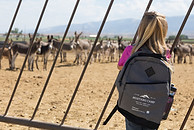 Mustang-Camp-7-2023-289.jpg