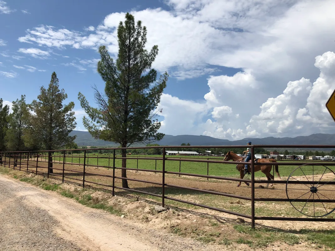 Nashwa farms excerise track - Tonya Wiertzema.webp