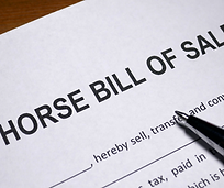 brown white elegant welcome to our shop Instagram Post (11).png