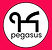 Pegasus 3.jpg